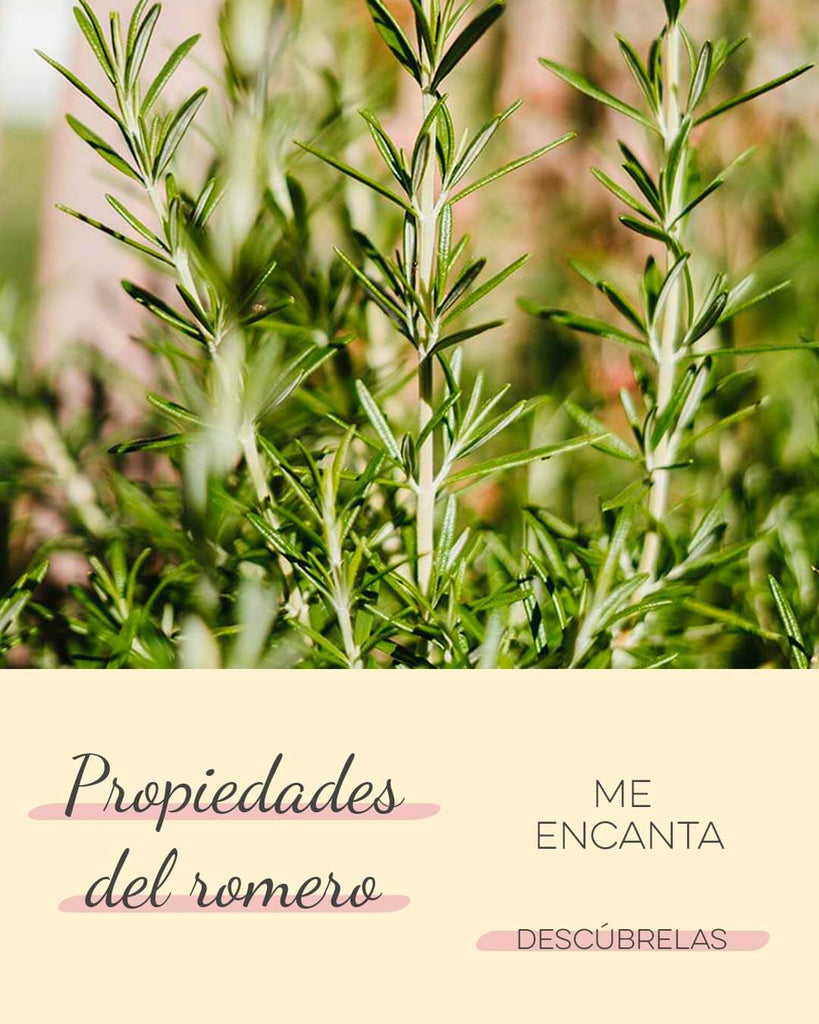 propiedades del romero