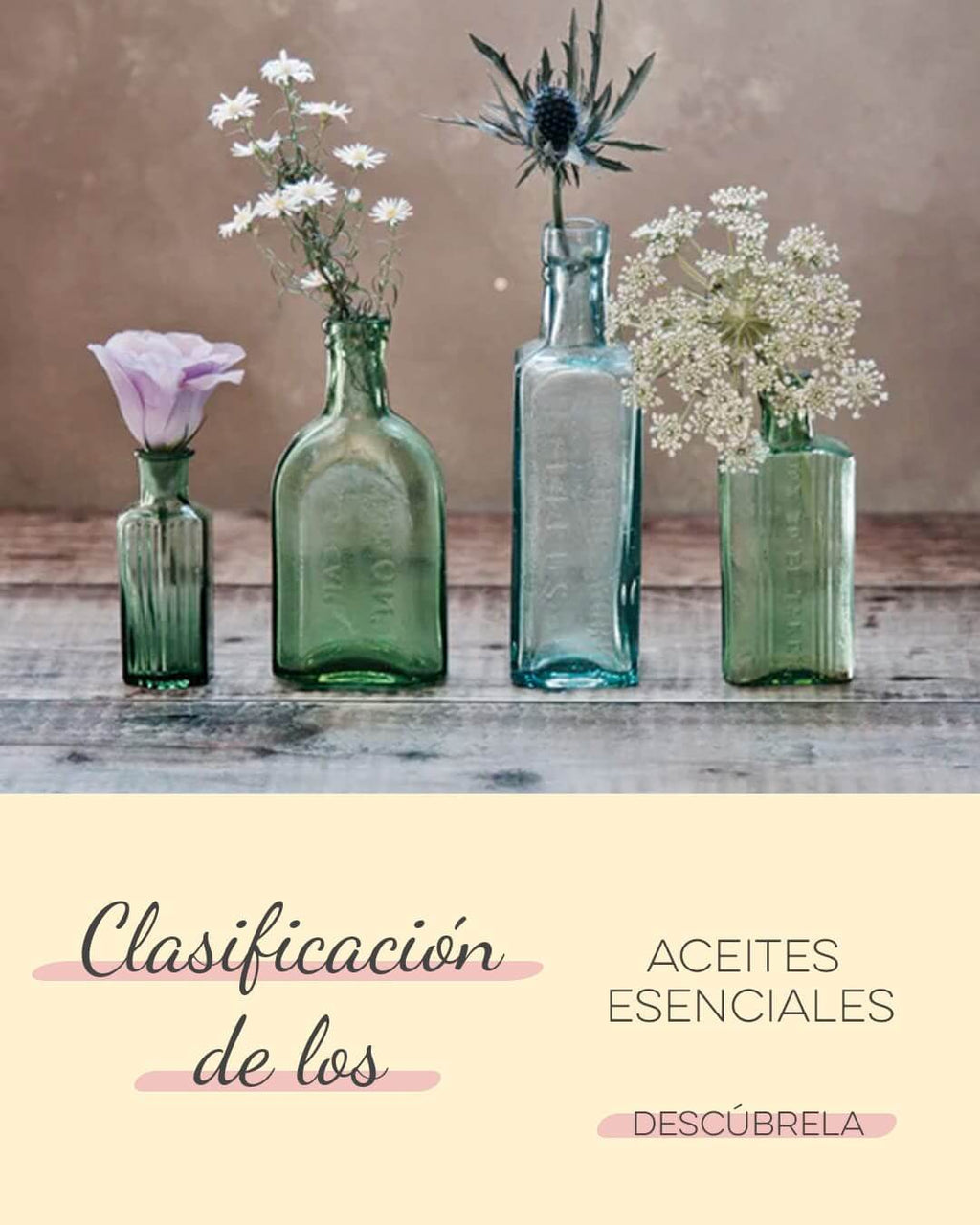 Clasificación de los aceites esenciales según sus notas aromáticas