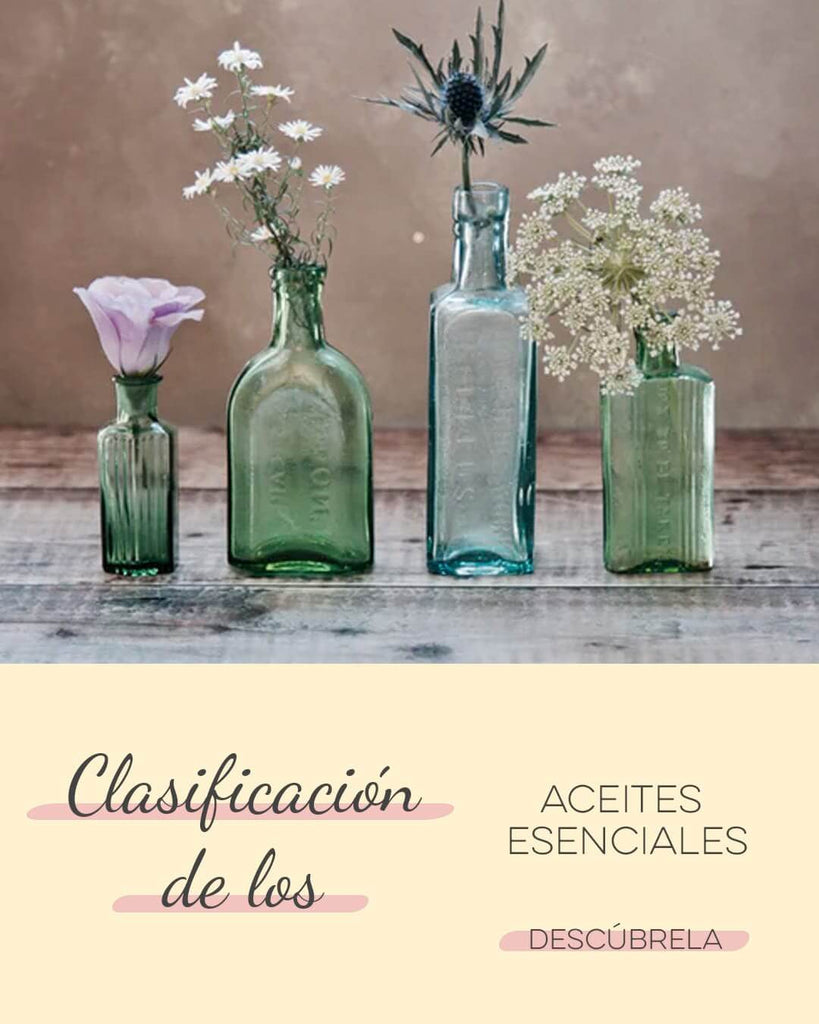 Clasificación de los aceites esenciales según sus notas aromáticas