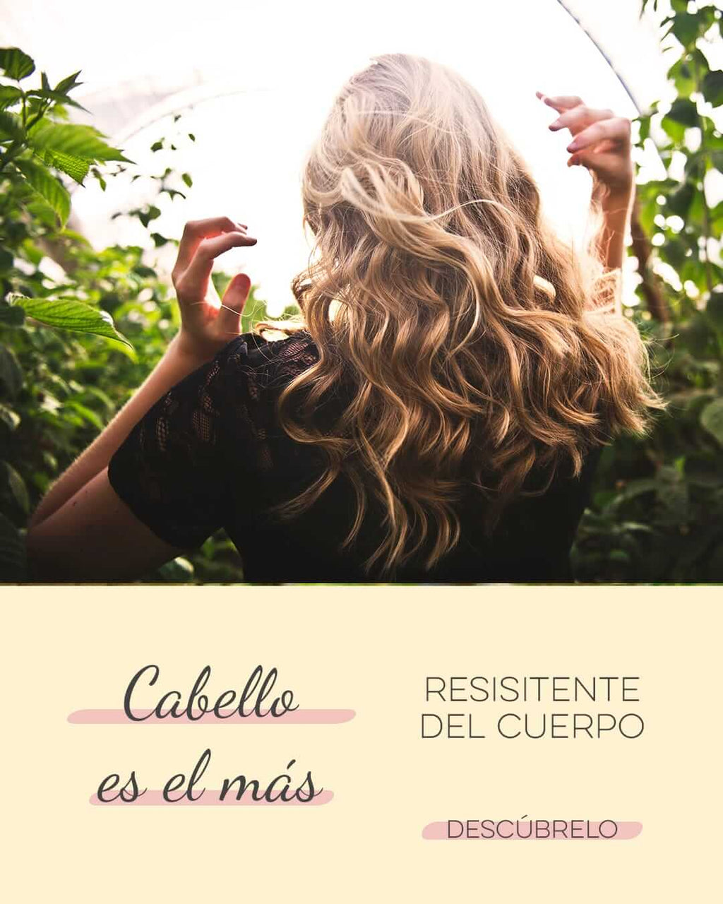 anatomía del cabello