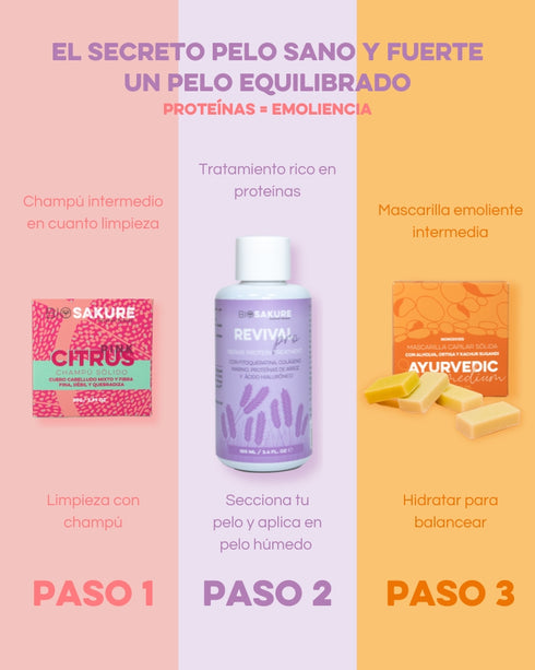 tratamiento proteinas profesional pelo danado